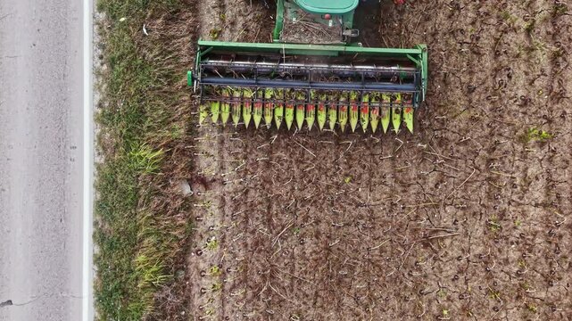 A tractor uses a cultivator to till the soil in a field next to a road. This activity supports the preparation of the land for planting crops.