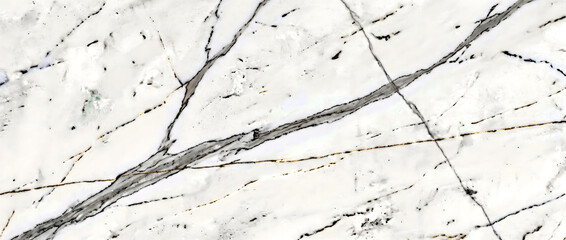 White marble texture with bold black cracks and thin gold veins forming a striking contemporary luxury natural stone background © UmmeFarhatunnesa