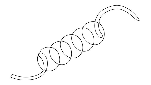 Coiled spring wire on white background.