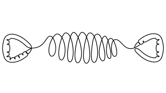 Coiled spring with hooks white background.
