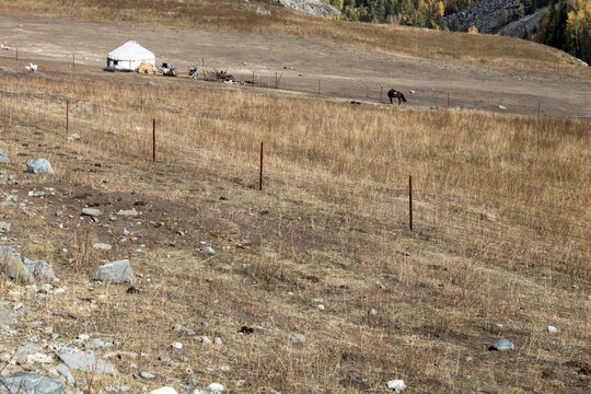 Solitary Traditional Yurt and Horse Grazing on Dry Autumn Mountain Pasture Slope in Altay Kanas Xinjiang China