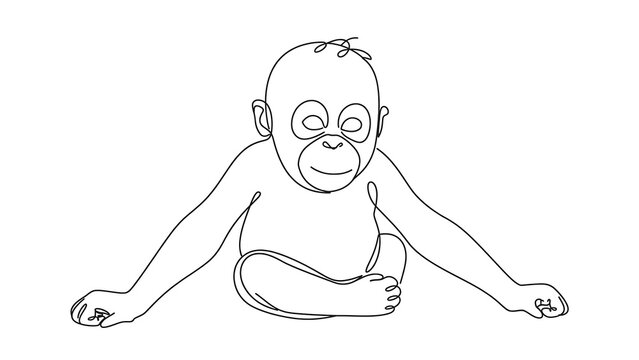 Cute baby monkey white background.