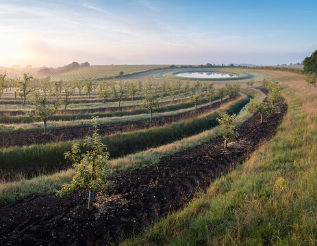 Keyline Contour Orchard with Water Harvesting Swales in Regenerative Landscape