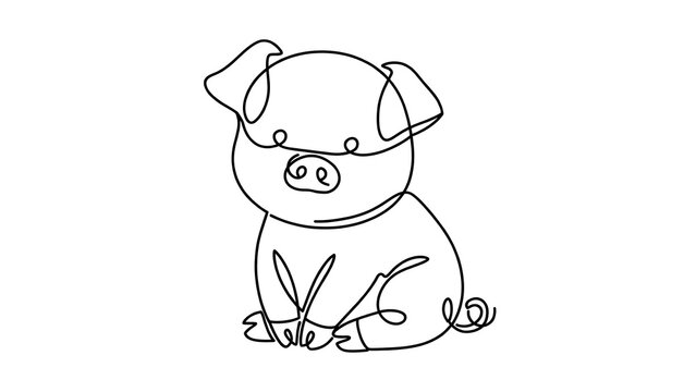 Cute Pig Sitting white background.