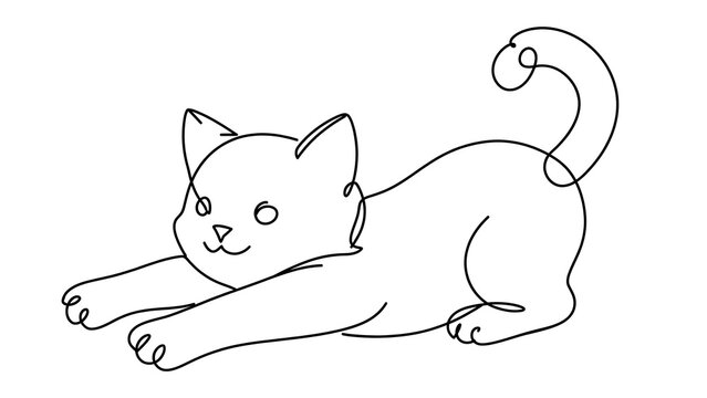 Cute cat lying down white background.