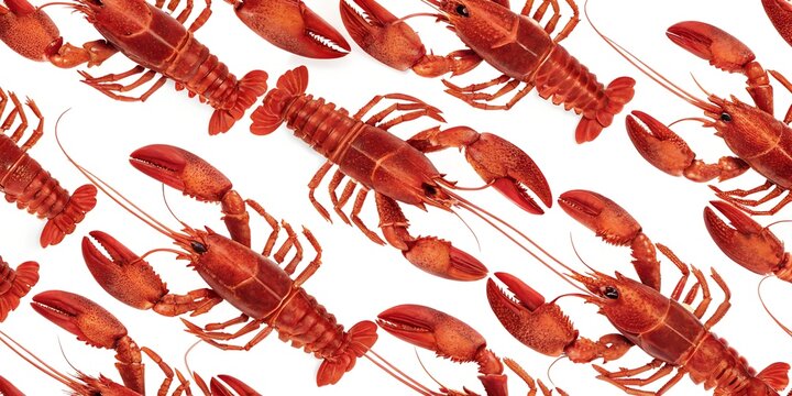 seamless pattern with red lobster