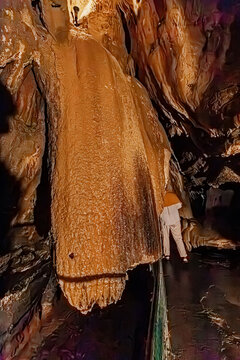 Large vertical speleothem with golden reflections covering a rock wall inside a cave, Pyrenees, France