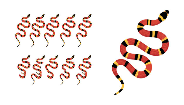 Coral snake cartoon character sprite sheet . Slithering reptile motion frames, crawling venomous serpent poses, isolated reptile vector illustrations .