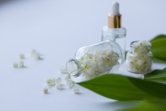 Glass bottle of lily of the valley essential oil with fresh flowers