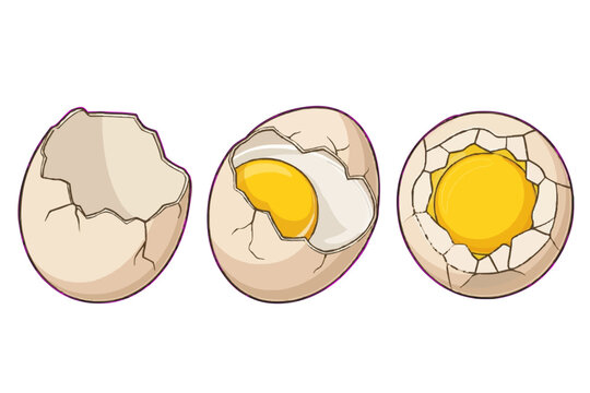 Cracked egg with yolk and shell vector illustration set