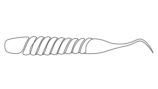 Dental tool white background.