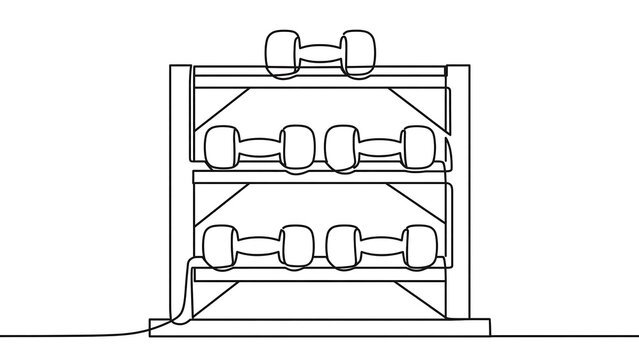 Dumbbell rack with weights on white background.