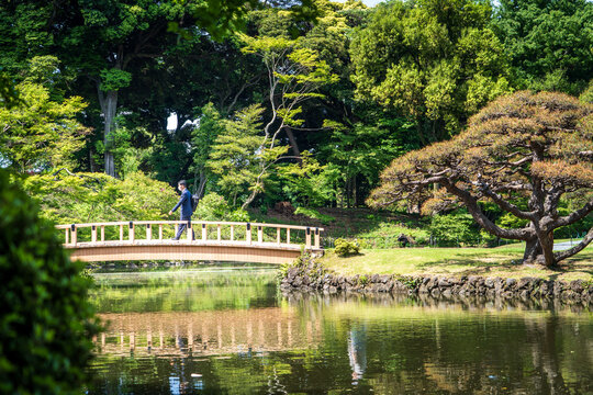 Hombre con traje atravesando un puente de un hermoso jard&iacute;n japones, en la ciudad de tokio.