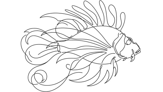Fish white background line art drawing.