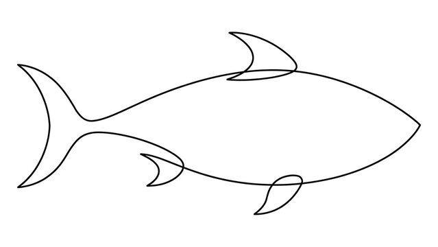 Fish outline drawing on white background.