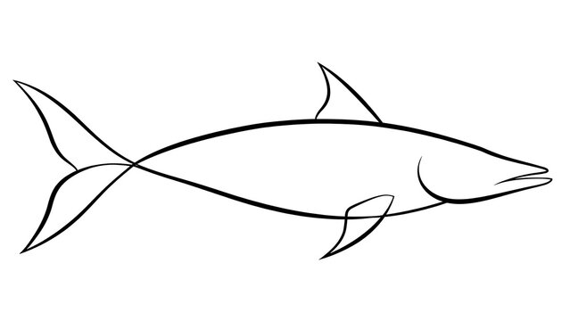 Fish white background simple line drawing.