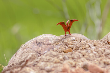 A toy plastic pterosaurs figurine standing on a rock © Mauricio Acosta