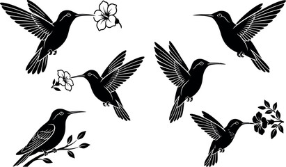 Obraz premium Black silhouette collection of hummingbirds in flight and perched with flowers