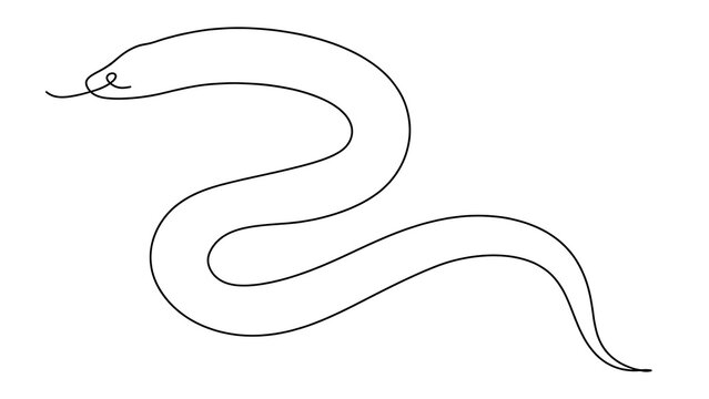 Snake on white background.