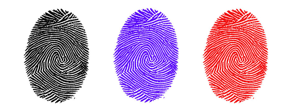 Fingerprint, thumbprint Icon Set in Black, Purple and Red, Security Vector Illustration