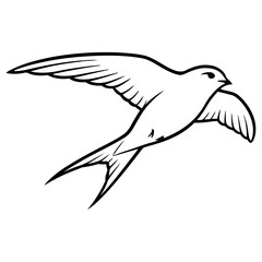 Obraz premium Line art of a swift bird in flight