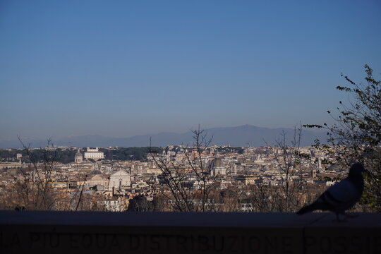 View of Rome seen from belvedere