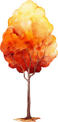 Autumn Tree Watercolor Illustration © Artnizu