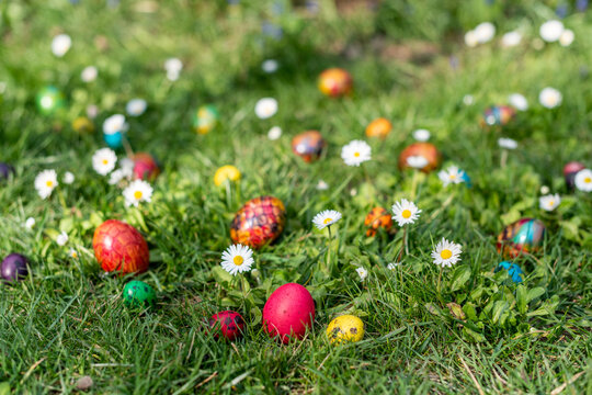 Painted Easter Eggs Among Daisies on Spring Lawn