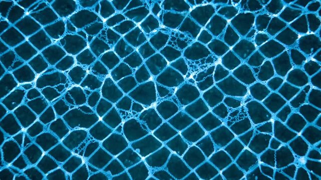 Abstract blue grid pattern background with light reflection and bubbles