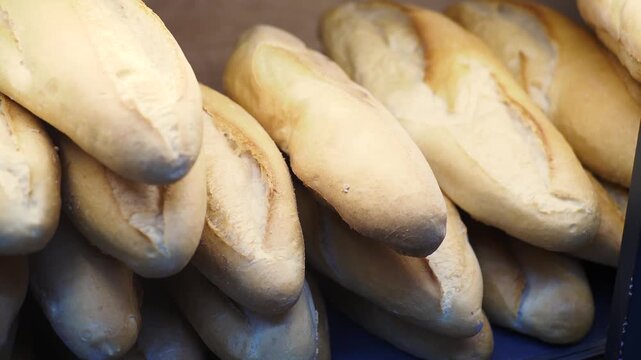 Close up hand selecting fresh crusty baguette from wooden shelf in bakery shop with cinematic motion