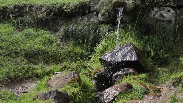 Fontana in un tronco con acqua che cade su un sasso