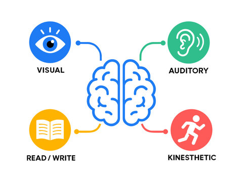Four learning styles infographic with visual, auditory, reading and kinesthetic learning types