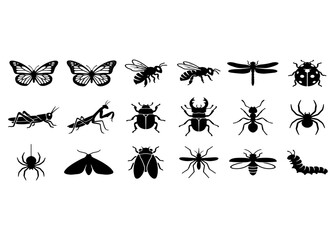 Fototapeta premium Best Selling Black Silhouette Collection of Insects Butterflies Bees Dragonflies Ladybugs Spiders Beetles Nature Wildlife and Decorative Garden Elements