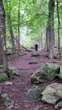 Woman Walking Her Dog on a Dirt Trail Through a Green Forest 