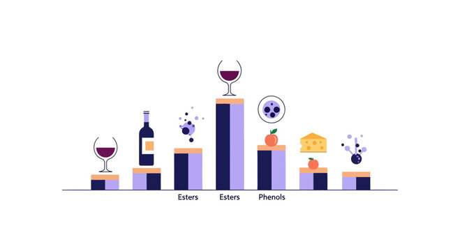 Wine Chemistry Infographic: Esters and Phenols Data Chart