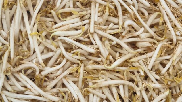 Fresh bean sprouts arranged in a bowl