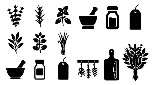 Aromatic Spice Herb Silhouette Vector Collection for Packaging