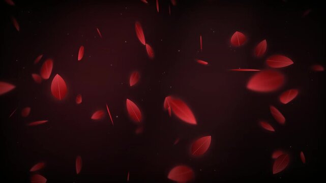 Seamless loop of dark red crimson feathers falling down motion background. Elegant red feather floating and falling down dark motion background