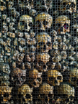 human skulls and bones displayed behind protective metal mesh