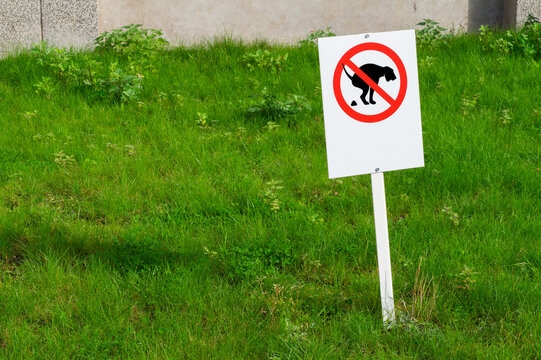 No Dog Fouling Sign on Green Grass