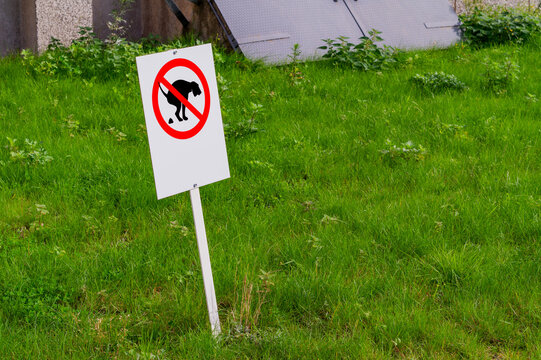 Dog Waste Prohibited Sign in Grassy Area