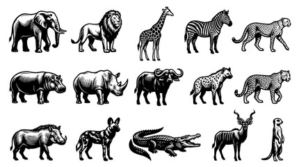 Fototapeta premium Black and White Line Art African Wildlife Animals Vector Set