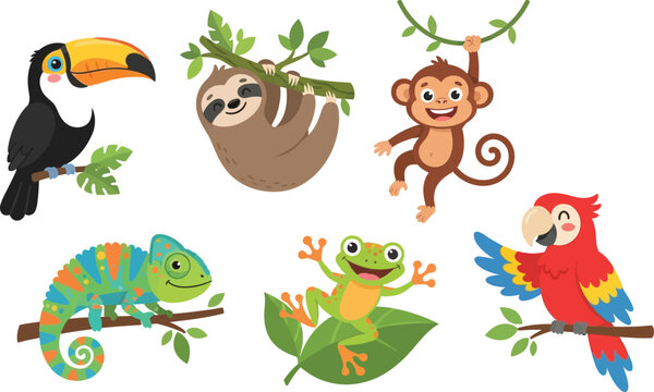 A collection of cute cartoon tropical rainforest animals including a toucan sloth monkey chameleon frog and parrot.