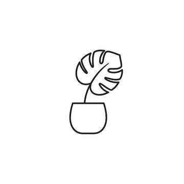 Minimalist monoline icon of monstera leaf in ceramic planter, premium line art style isolated on white background