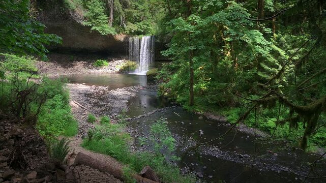 Beaver Falls cascades into a calm pool amid dense green forest in Oregon, with mossy trees and a quiet woodland stream in Oregon, USA. 4K UHD video.