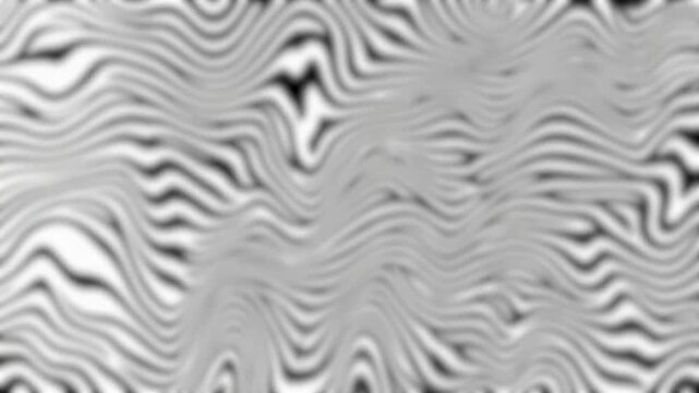 Black and white op art wavy background, hypnotic psychedelic fluid lines texture for techno music VJ loop and abstract design