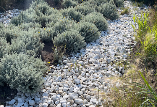 White decorative limestone gravel mulch used for landscape ground cover and garden design