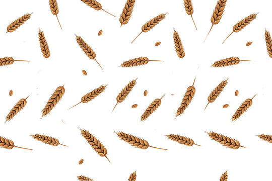 Pattern of golden wheat ears and scattered grain seeds on a white background, isolated on a, transparent background