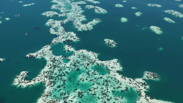 Calcareous algae and white sand forms abstract patterns in Kakaban Lake amid the Derawan Islands, Indonesia. This marine lake, surrounded by limestone, harbors four species of harmless jellyfish.
