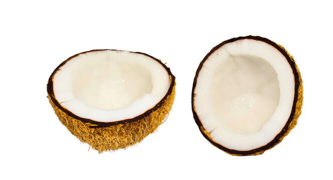 Two fresh open coconut halves isolated on transparent background png cutout